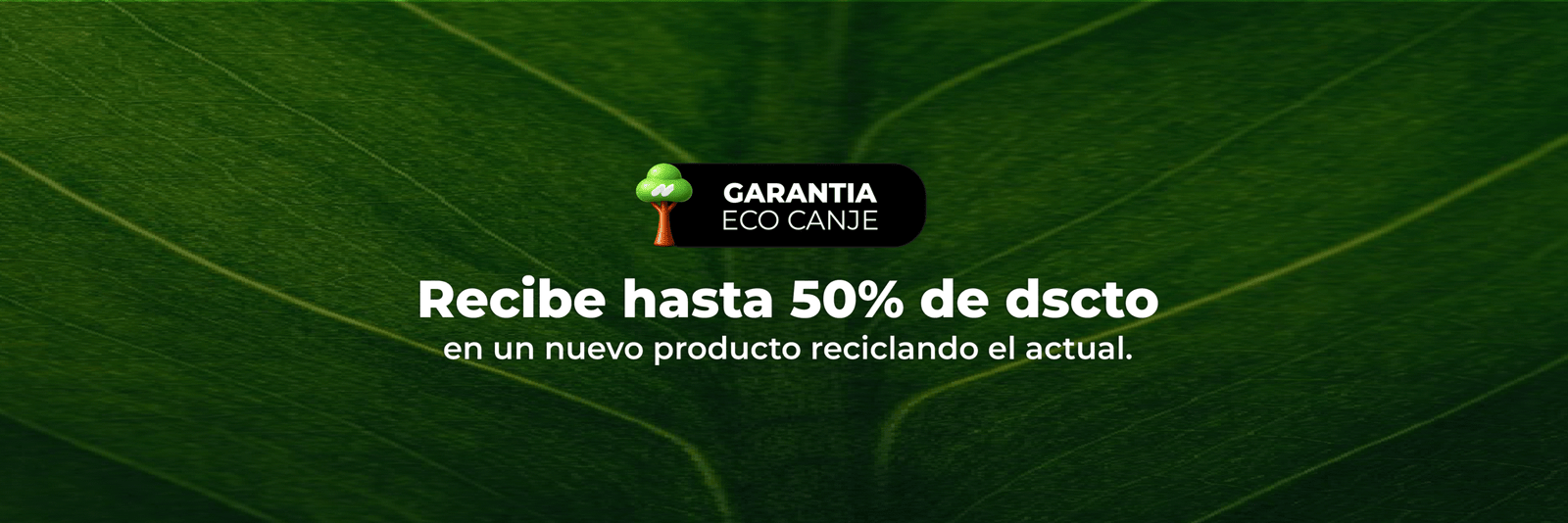 POK - Baners web_Eco-canje